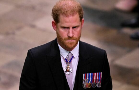 Prince Harry : pourquoi sera-t-il à Londres un an jour pour jour après la mort d’Elizabeth II ?